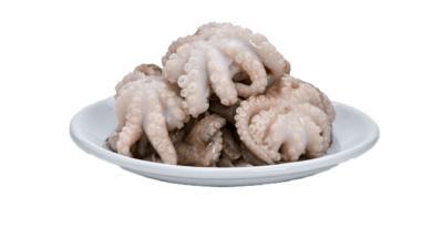 Bạch tuộc tươi đã làm sạch cấp đông giá tốt Size 10-20 con/kg