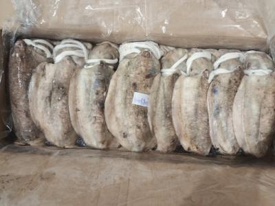 Mực nang đông lạnh còn da đặc biệt Size 8-10 con/kg