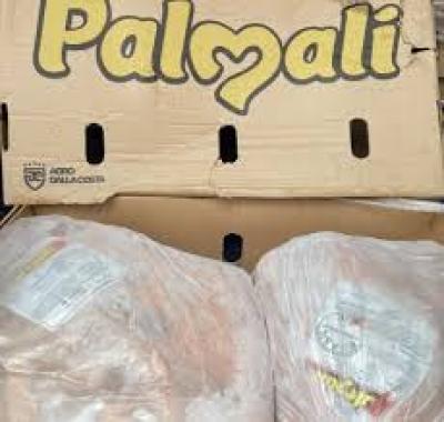 NẠC ĐÙI PALMALI NHẬP SỈ TOÀN QUỐC