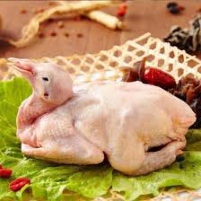 Sản Phẩm Bồ Câu Pháp Làm Sạch - Sản Phẩm Chất Lượng Cao Từ VIFOODS 